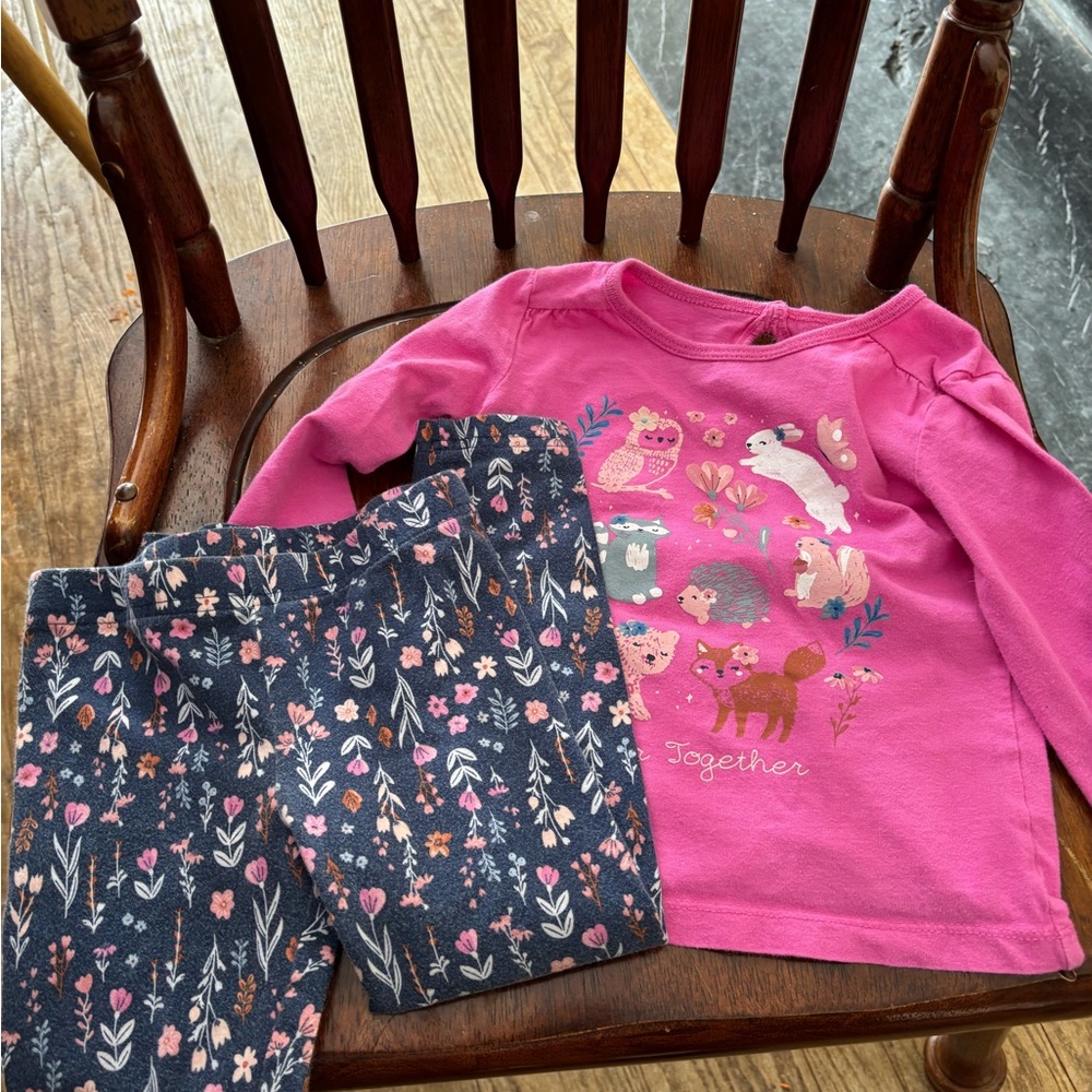 Carter's Pink Bunny and Butterfly Top w Matching Leggings